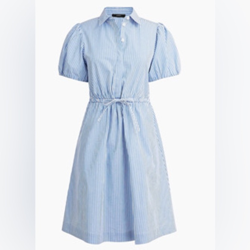 J. Crew puffed short sleeve collared mini dress